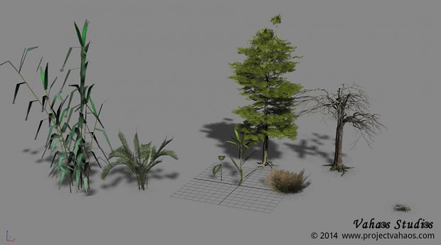 Plant Models