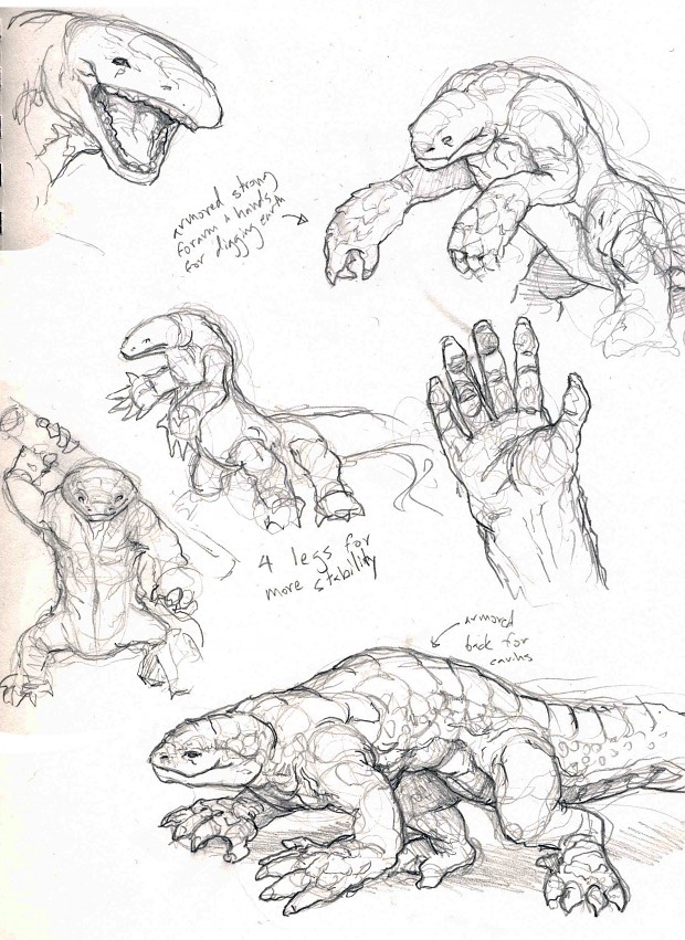 Salamander concept sketches