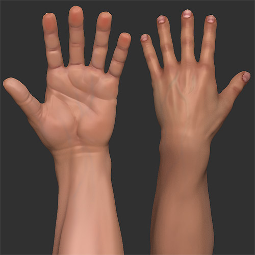 First person character arms. (wip)