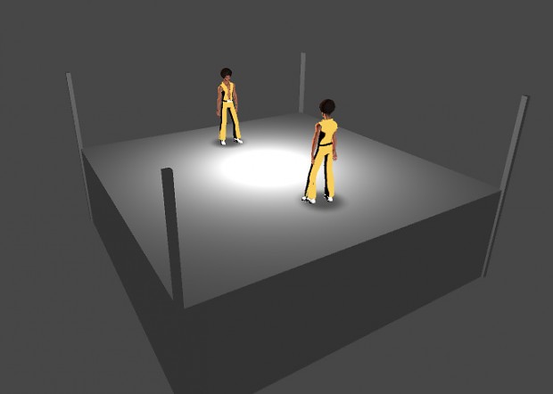 Boxing ring prototype