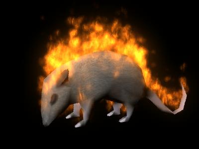 Bushfire Oppossum