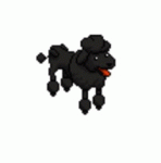 Poochi Basic Animation