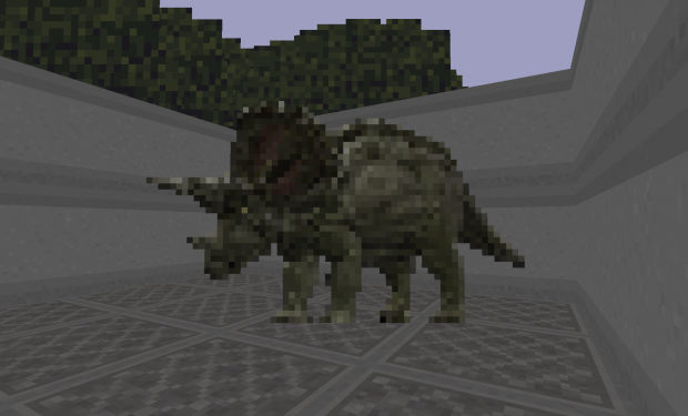 Male Triceratops