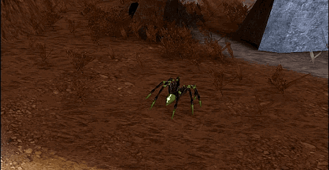 Spider Death