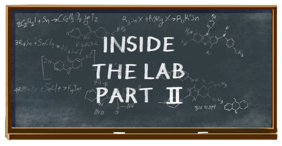 Inside the Lab:Part II