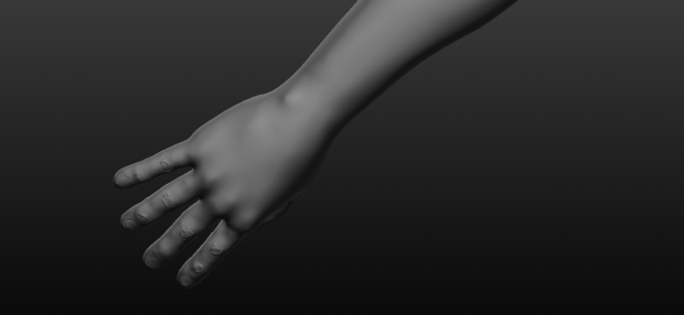 Hands work in progress