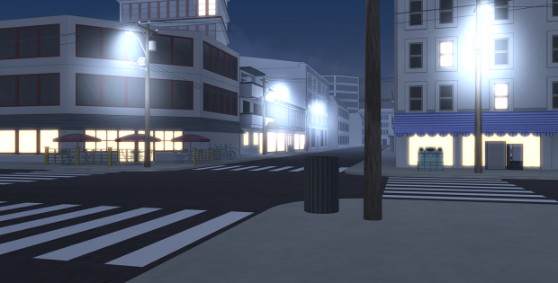 Fuyumachi's central road (Night)