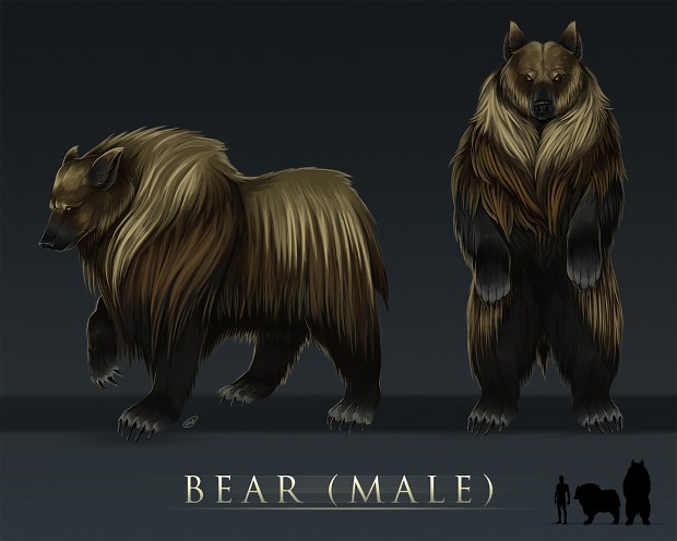 Male Bear