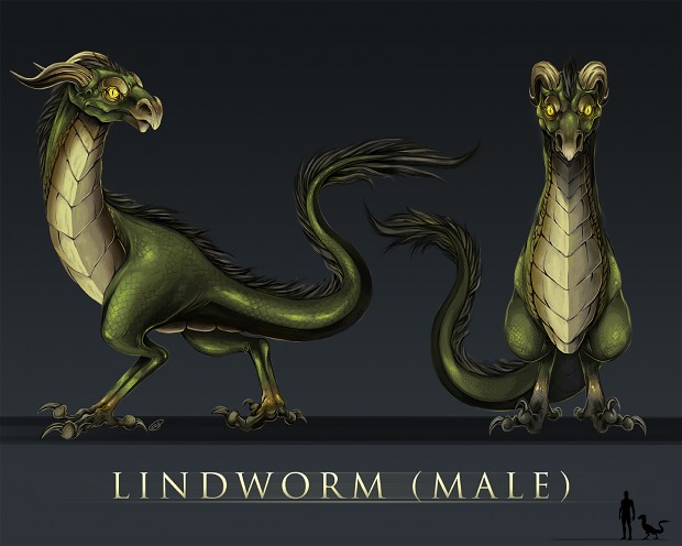 Male Lindworm