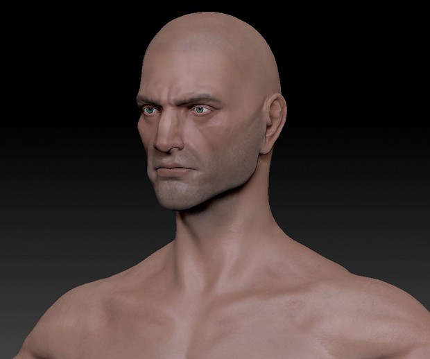 Male Adult Human Template (Head)