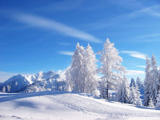 Snowland Background