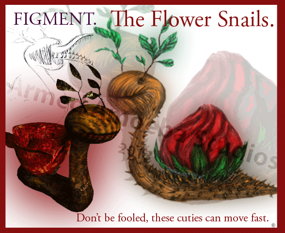 The Flower Snails