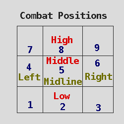 Combat Position