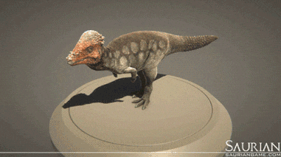 Pachycephalosaurus animation 2