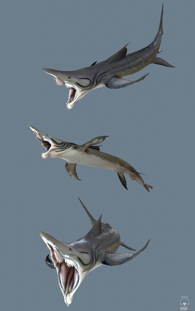 Parahelicoprion Render