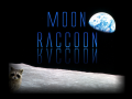 Moon Raccoon