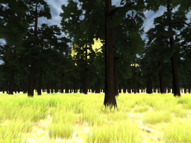 Amazon Forest Map Teaser !