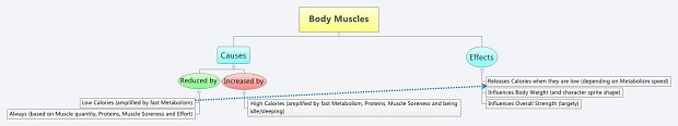 Body Fat / Muscle
