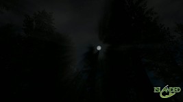 Night visual effects