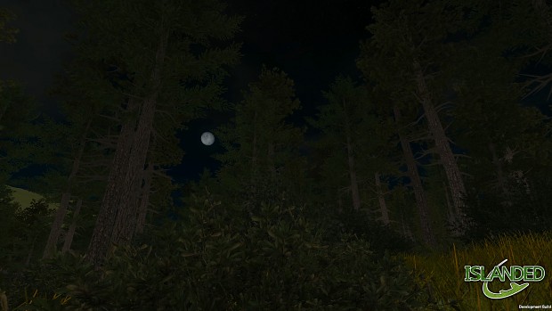 Moon shine in the forest #2