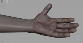 First Persons Arms Mesh