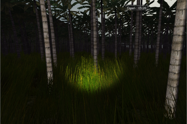 Tall Grass - Jungle
