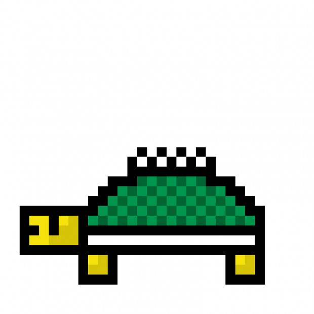 Our Cute Turtle