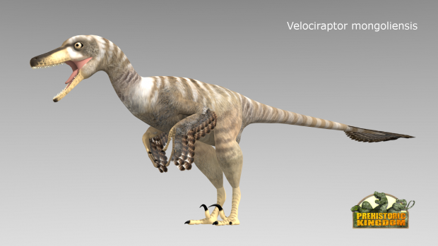 Feathered Velociraptor.
