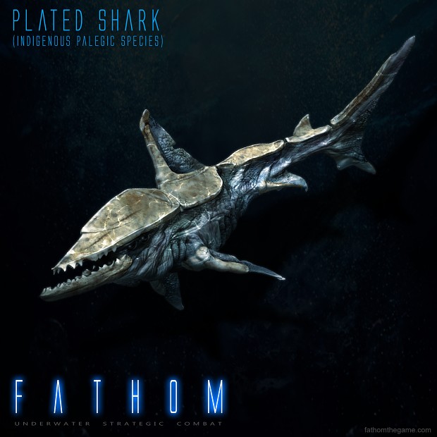 Plated Shark