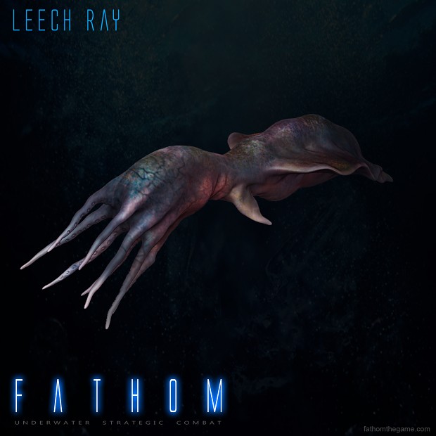 Leech Ray