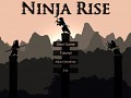 Ninja Rise