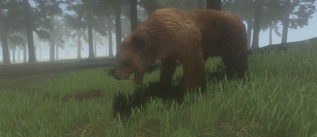 Bear in the Woods!
