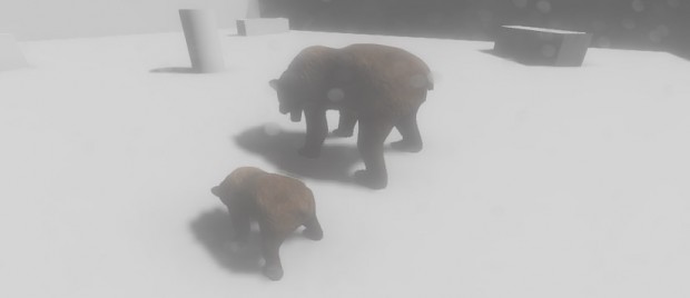 Baby Bears!