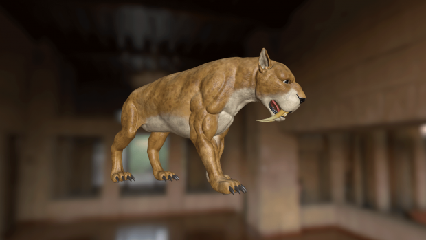 3d Models of the Spirit Animals in Lithic