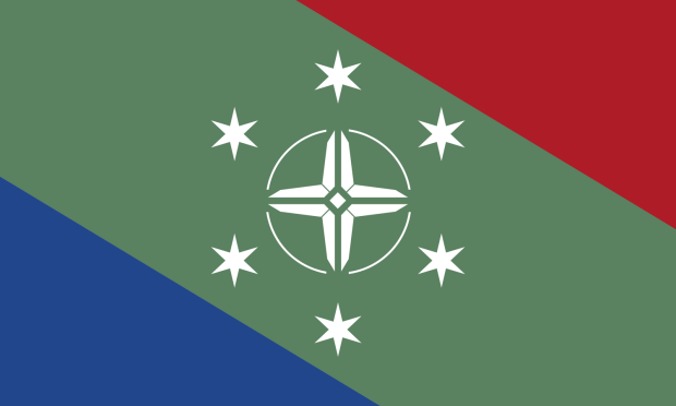 TDN Flag