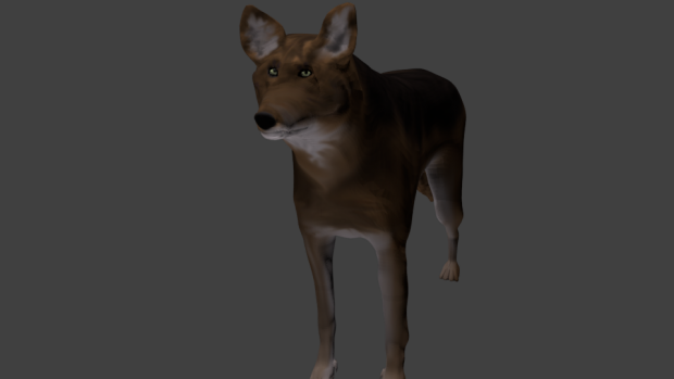 Red wolf model (low)