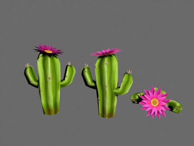 Cactus Model