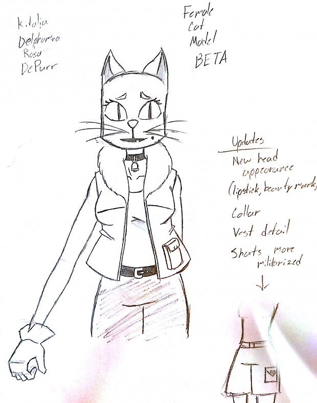 Female Cat Concept