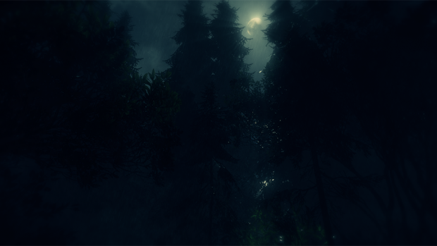 Forest Night - 1