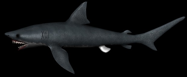 WIP Shark 1