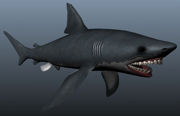 WIP Shark 2