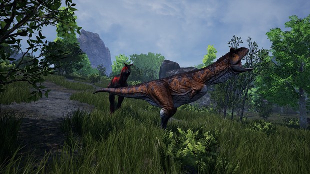 Carno pack