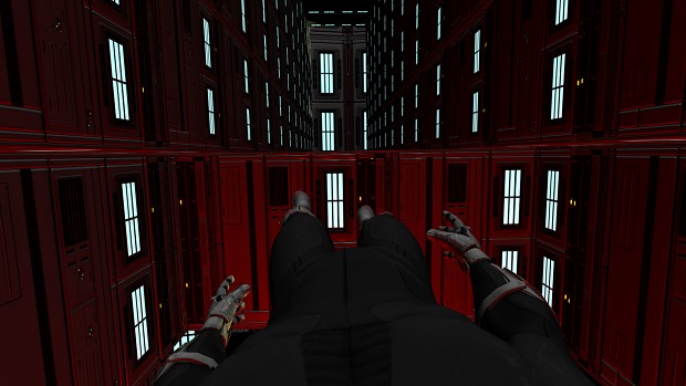 First Person View