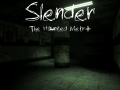 Slender: The Haunted Metro