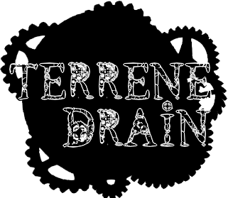 TerreneDrain logo 16
