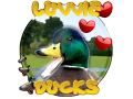 Luvvie Ducks