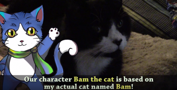 Bam The Cat