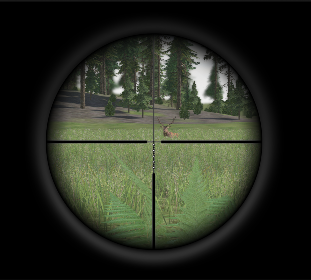 Deer in scope