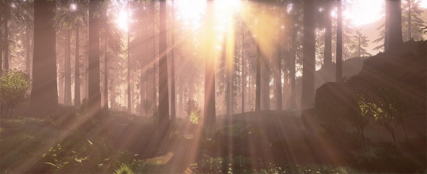 Washington Redwoods