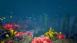 Swimming underwater in Capsa